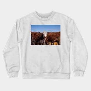 Cow Wall Crewneck Sweatshirt